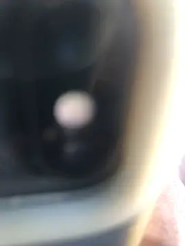 Cupcake224 webcam