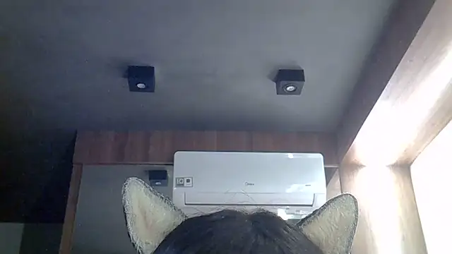 SkinnyKitten webcam
