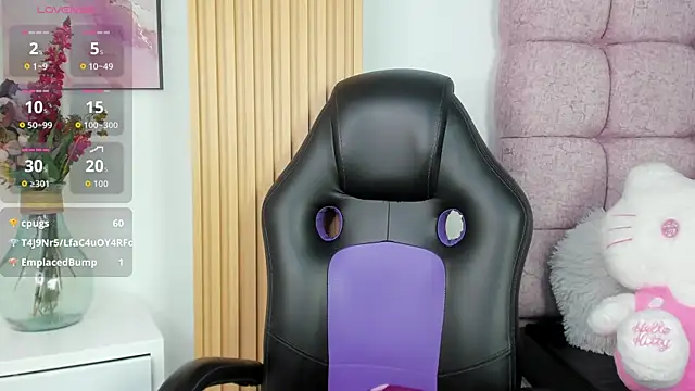 1Sloppy_Fox4 webcam