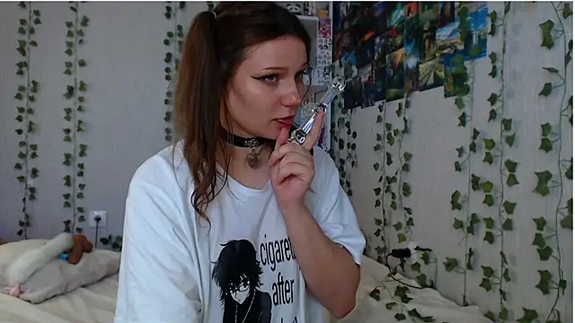 lilidip webcam