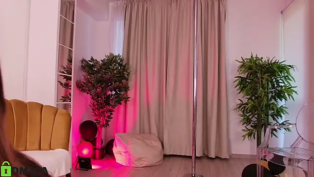 MayaSpringX webcam