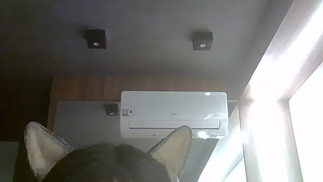 SkinnyKitten webcam