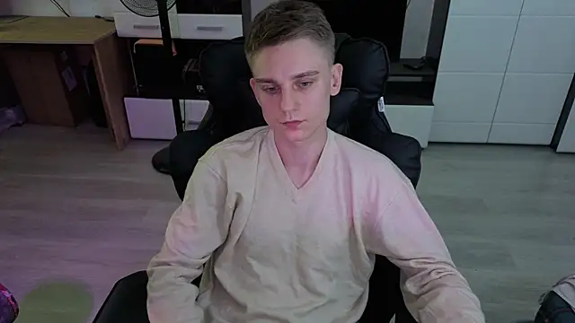 pvlpstvy webcam