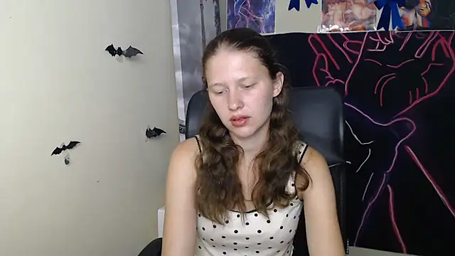 StellaCRL webcam