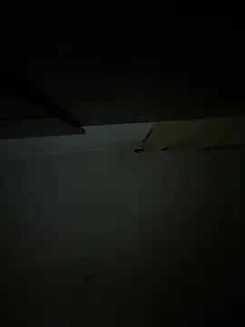 CoyoteDuMato webcam