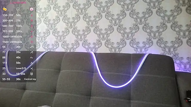 ViviLux webcam