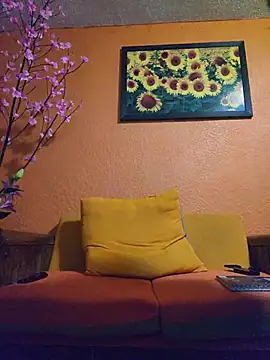 MexaCamGuy webcam