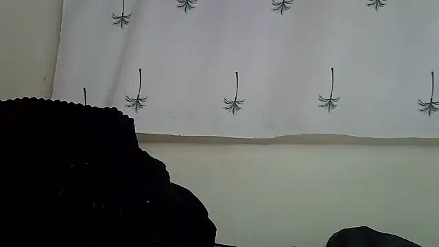 Enkarxx webcam