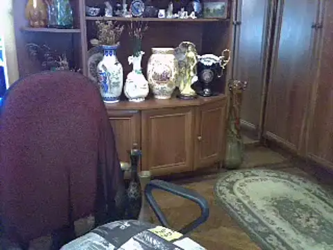 ElenaZed webcam