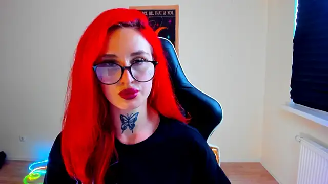 your_tora webcam