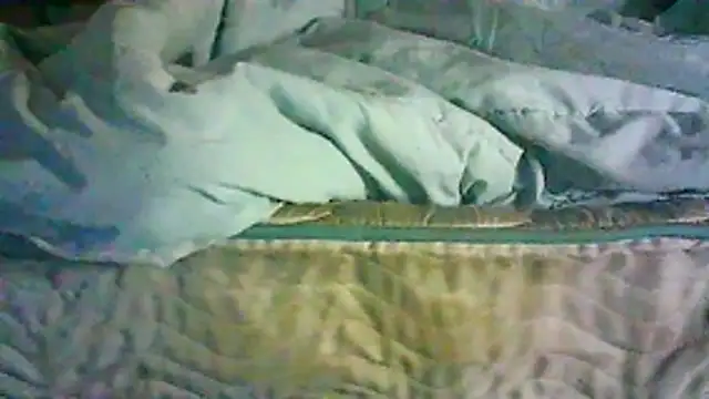 CR3M3_FIR3 webcam