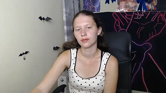 StellaCRL webcam