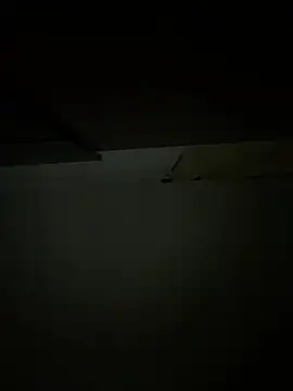 CoyoteDuMato webcam