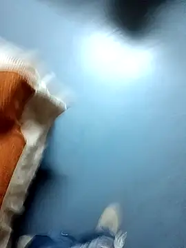 VirtuousDampness webcam