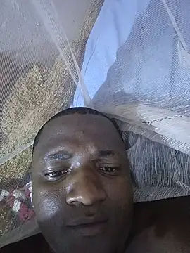 polvitoriko webcam