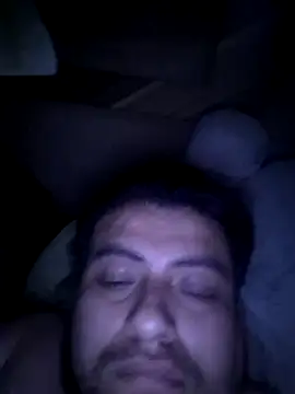 elkaver webcam