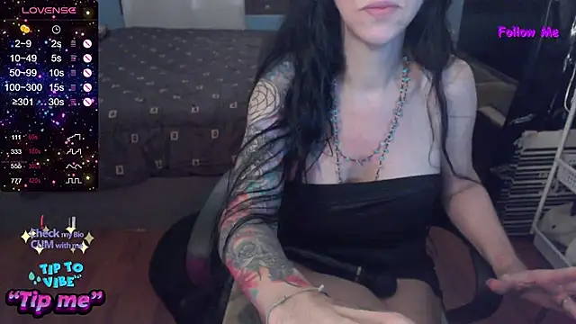 VenusX webcam