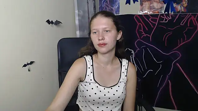 StellaCRL webcam