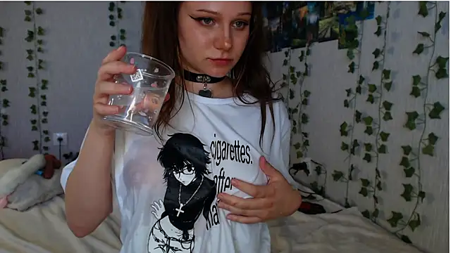 lilidip webcam