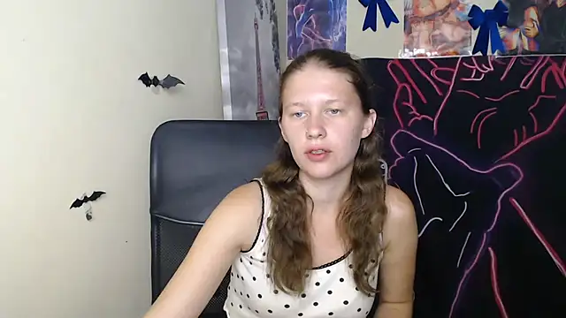 StellaCRL webcam