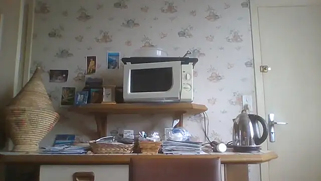 gegevincent5 webcam