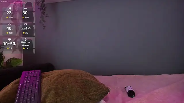 Abbyy_stone webcam