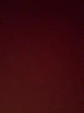 pinkflag webcam