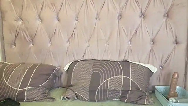 springbock56 webcam