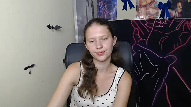 StellaCRL webcam