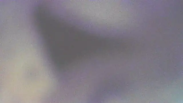 Shrimpsonspun661 webcam