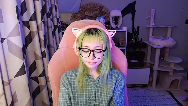 SaxonDibs webcam