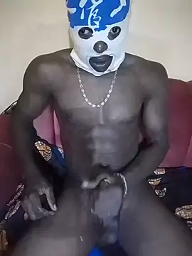 doro2653 webcam