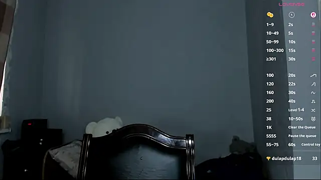 icebabyiceicebaby webcam