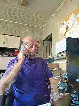 wilkalfa webcam