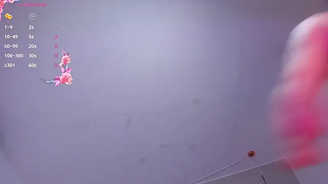 dulcepatersson1_ webcam