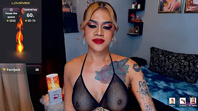 StellaStrong30 webcam