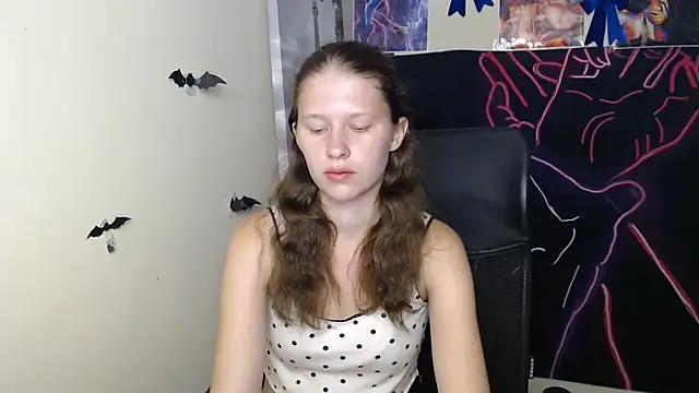 StellaCRL webcam