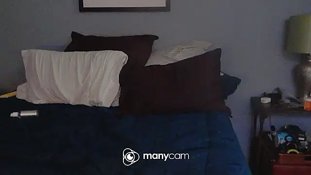 NWBuilt webcam