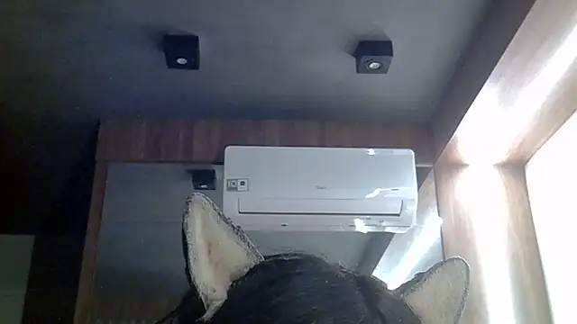 SkinnyKitten live cam