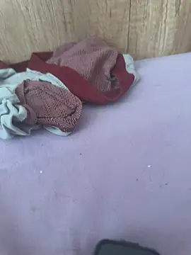 kotkite webcam