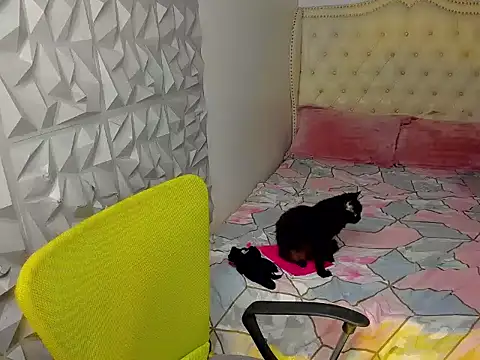 janecomander webcam