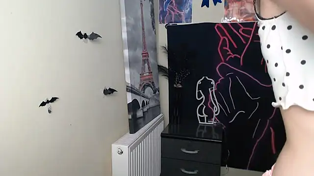 StellaCRL webcam