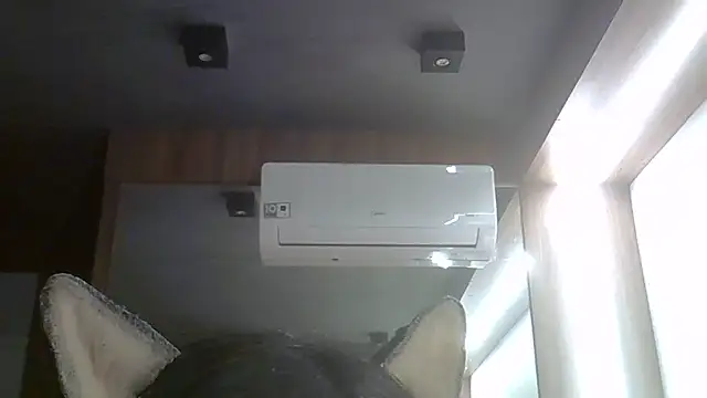 SkinnyKitten webcam