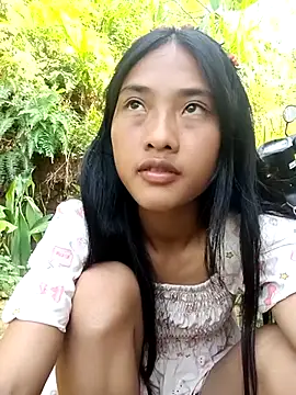 Hoa-tuylip webcam