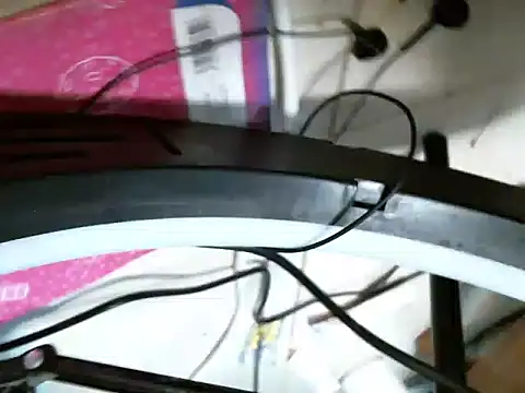Nasty_assb webcam