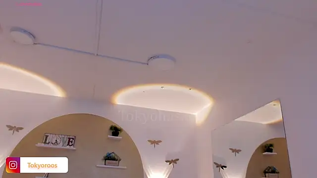 TokyoHaskel webcam