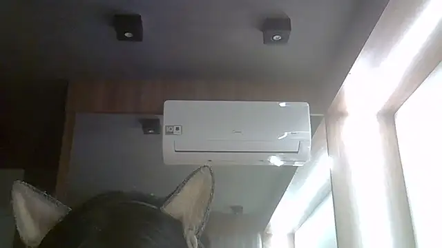 SkinnyKitten webcam