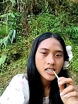 Hoa-tuylip