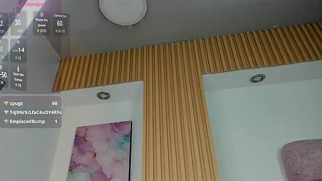 1Sloppy_Fox4 webcam
