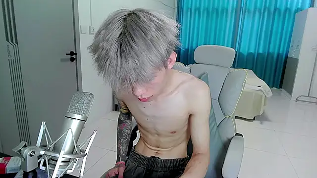 KPL-11 webcam